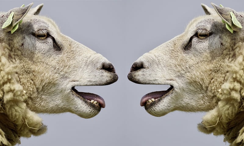Gossip